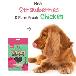 HUFT Yum Nums Soft & Chewy Sticks Strawberry with Real Chicken Treat For Dogs