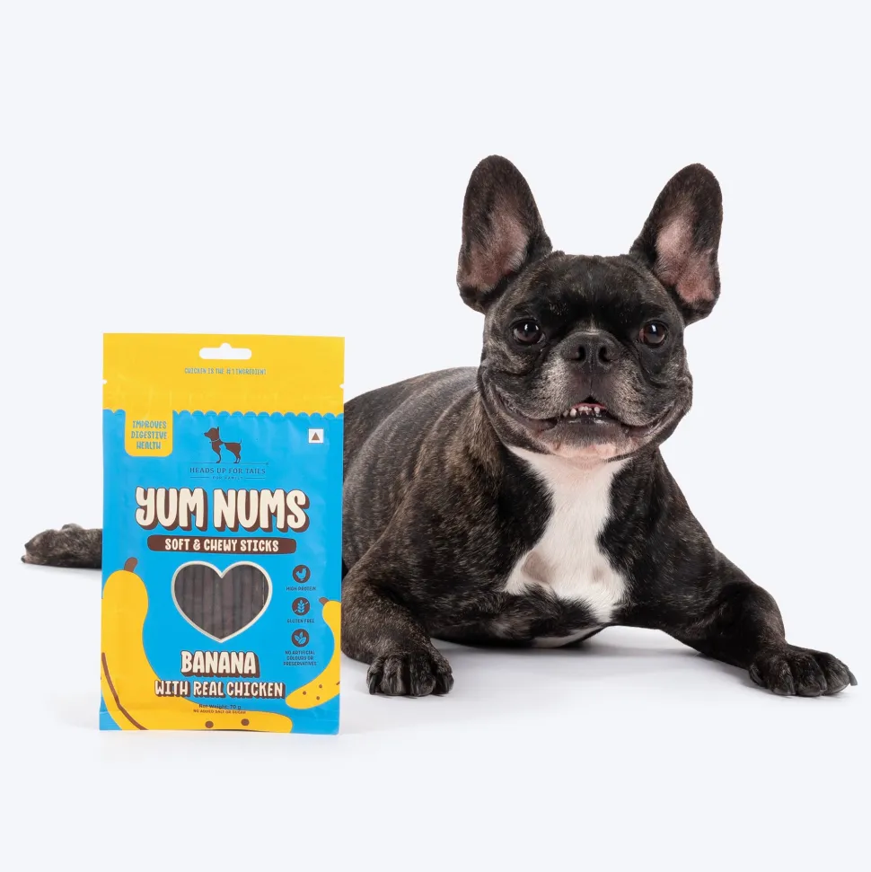 HUFT Yum Nums Soft & Chewy Sticks Banana with Real Chicken Treat For Dogs - 70 g
