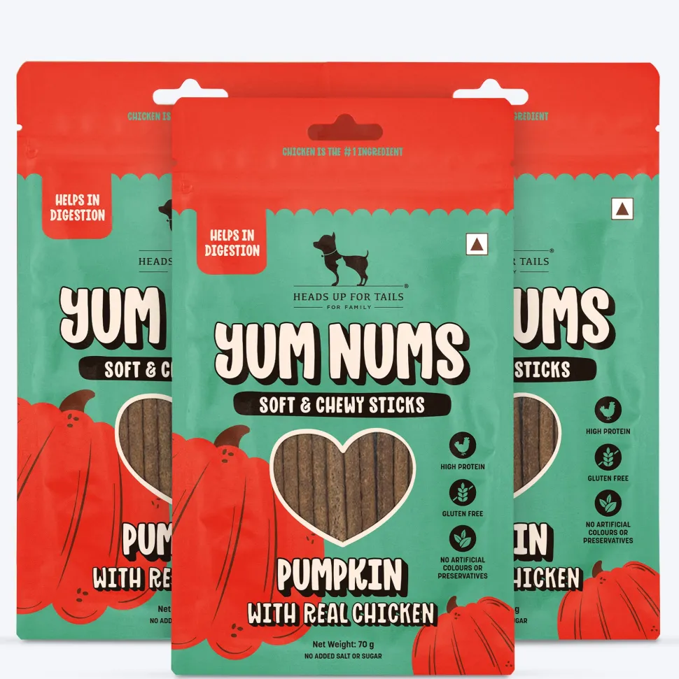 HUFT Yum Nums Soft & Chewy Sticks Pumpkin with Real Chicken Treat For Dogs - 70 g