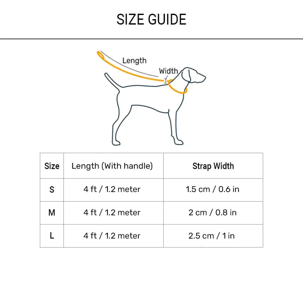 HUFT Zig Zag Twist Leash For Dog - Grey