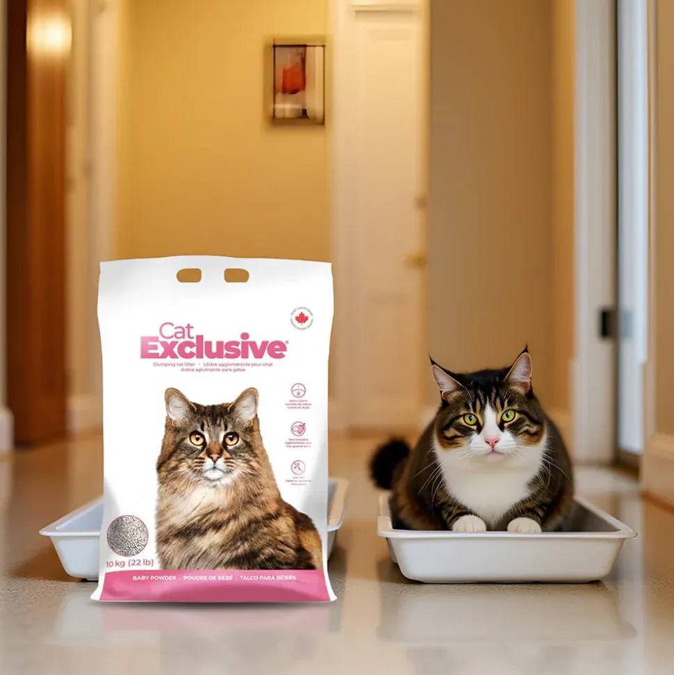 Intersand Cat Exclusive Clumping Cat Litter - Baby Powder - 10 kg