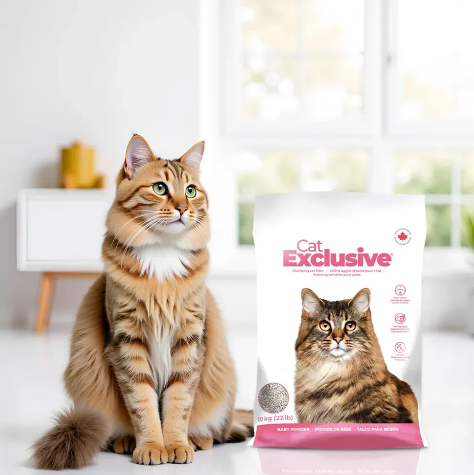 Intersand Cat Exclusive Clumping Cat Litter - Baby Powder - 10 kg