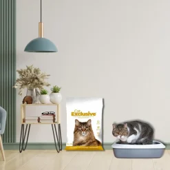 Intersand Cat Exclusive Scoopable Clumping Cat Litter - 10 kg
