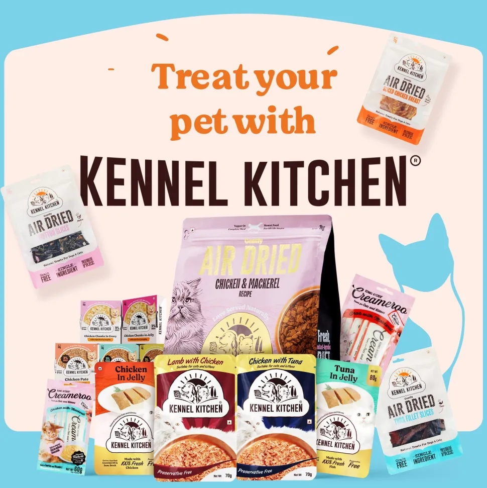 Kennel Kitchen Fish Chunks In Gravy Wet Cat Food - 80 g packs