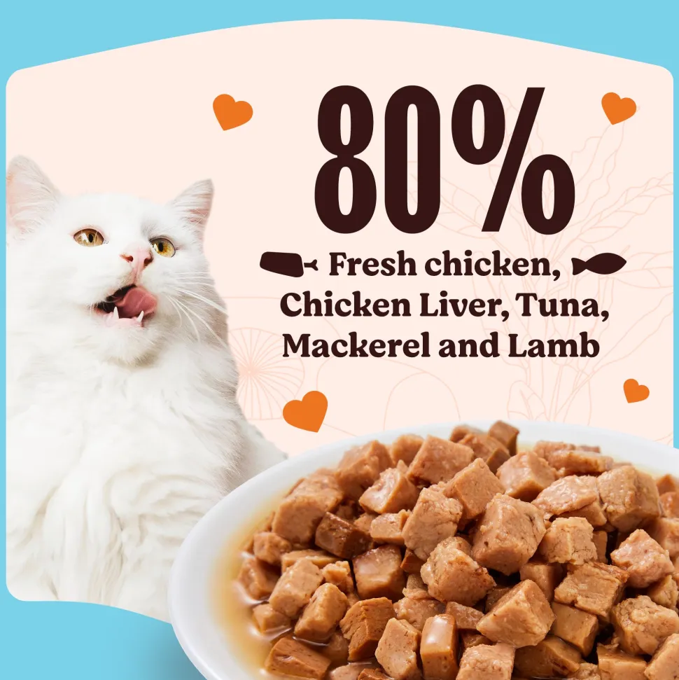 Kennel Kitchen Fish Chunks In Gravy Wet Cat Food - 80 g packs