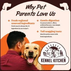 Kennel Kitchen Fish with Pumpkin Supreme Cuts In Gravy Wet Dog Food - 130 g Packs