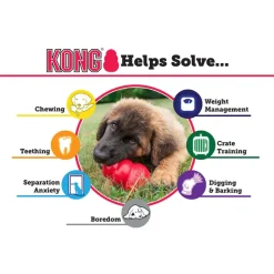 KONG Classic Chew Interactive Dog Toy (In multiple sizes)