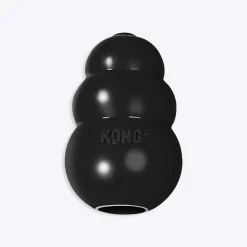 KONG Extreme Chew Interactive Dog Toy