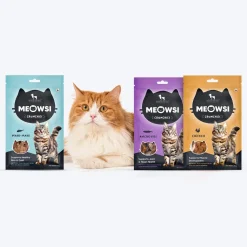 Meowsi by HUFT Cat Treats Combo - Non-Veg (Pack of 3)