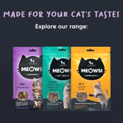 Meowsi by HUFT Dehydrated Anchovies Crunchies Cat Treats - 35 g