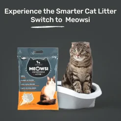 Meowsi By HUFT OdourShield Unscented Cat Litter Activated Carbon 5kg