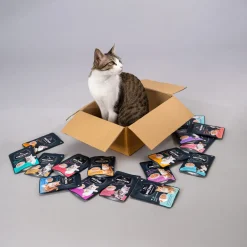 Meowsi Chicken & Salmon Mousse Wet Food for Kittens 70g