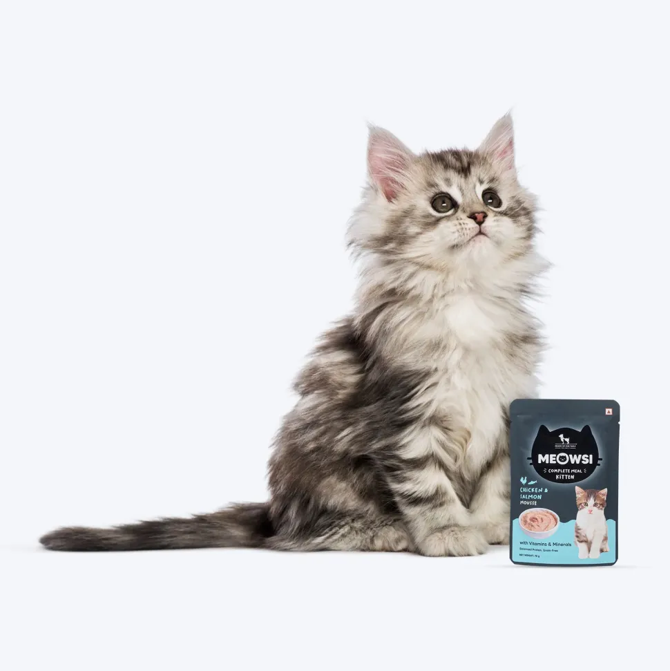 Meowsi Chicken & Salmon Mousse Wet Food for Kittens 70g