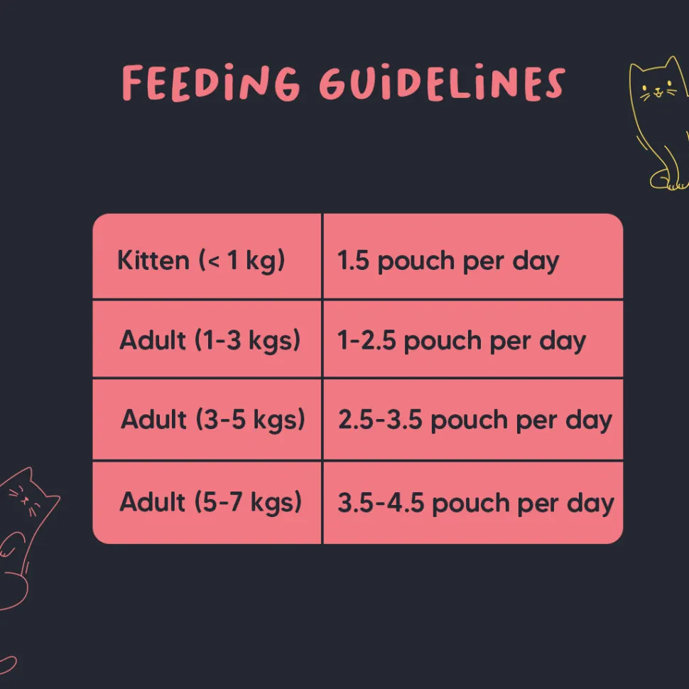 Meowsi Chicken Breast & Duck in Broth Wet Cat Food 80g