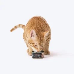 Meowsi Chicken Breast & Duck in Broth Canned Cat Food 80g