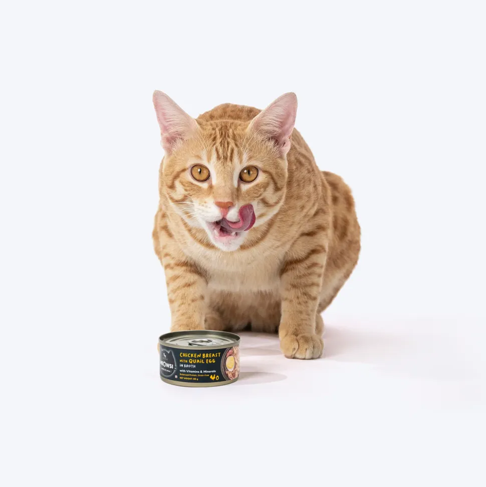 Meowsi Chicken Breast & Quail Egg in Broth Cat Food 80g