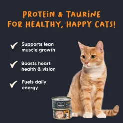 Meowsi Chicken Breast in Broth Wet Cat Food Can 80g