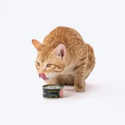 Meowsi Chicken Breast Mousse Wet Cat Food Can 80g