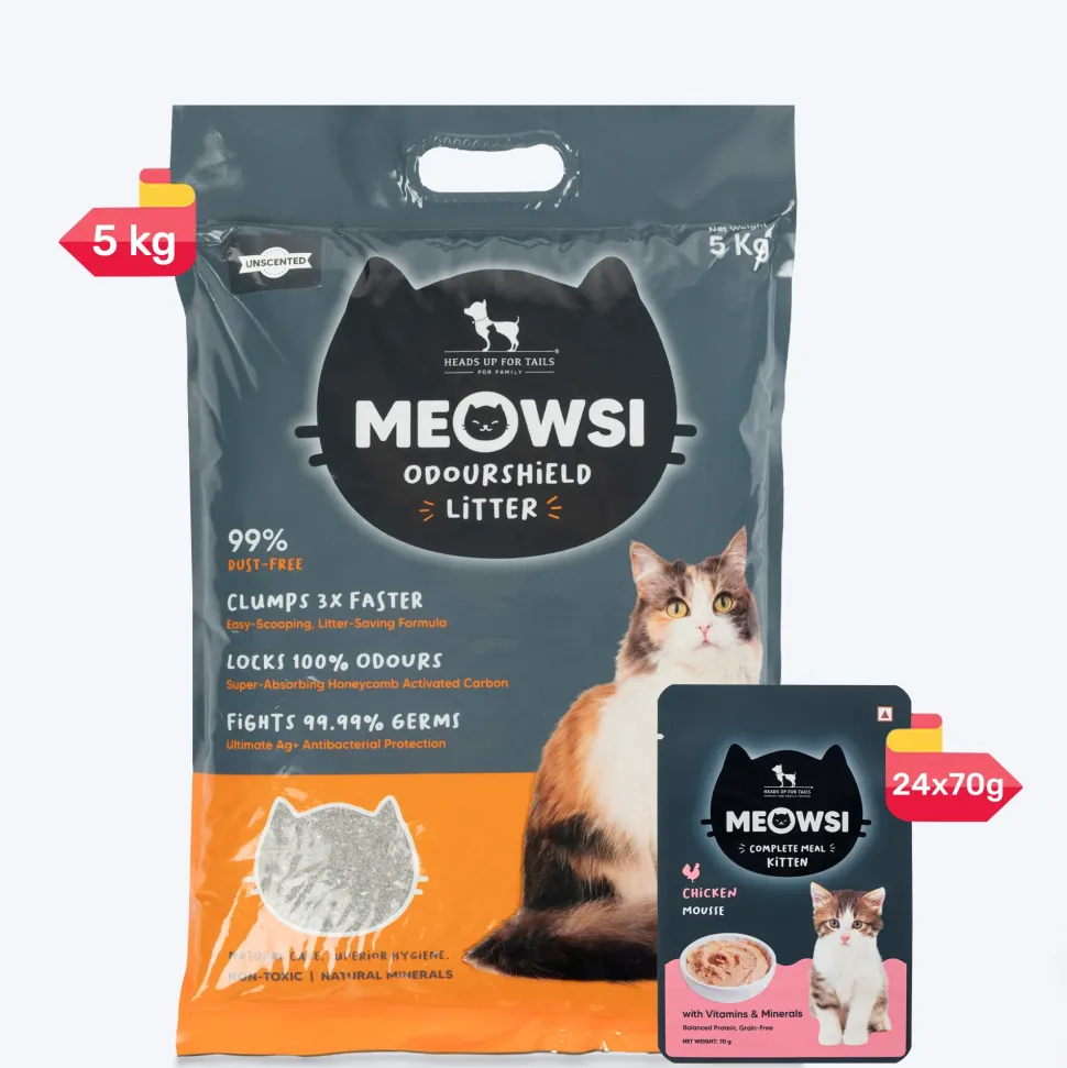 Meowsi Chicken Mousse Wet Food for Kittens 70g