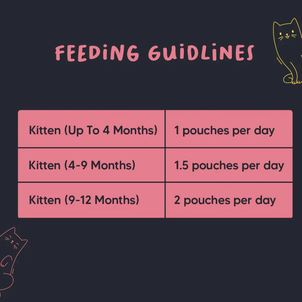 Meowsi Chicken Mousse Wet Food for Kittens 70g