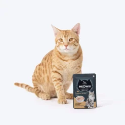 Meowsi Skin & Coat Salmon & Chicken Mousse Wet Cat Food 70g