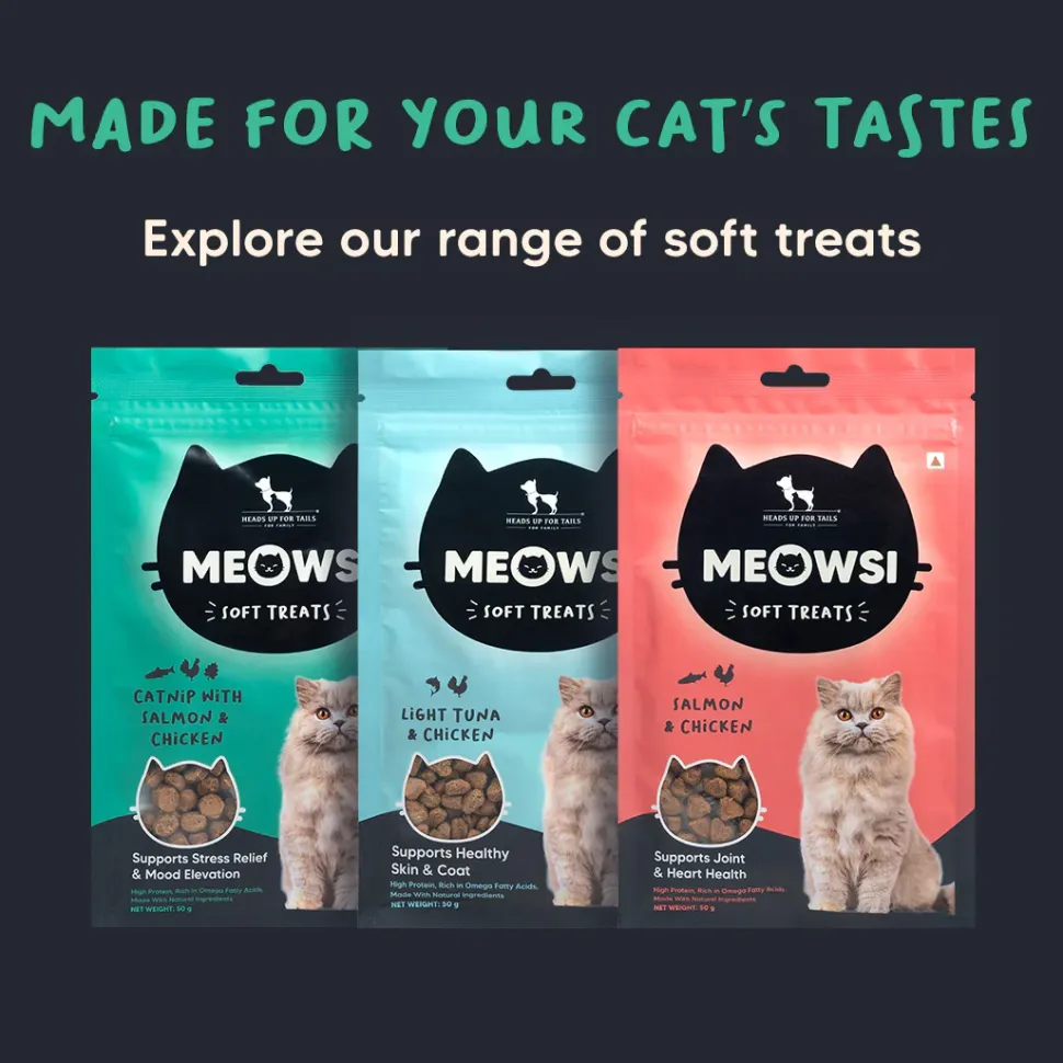 Meowsi Soft Cat Treats Catnip Salmon & Chicken Grain-Free 50g