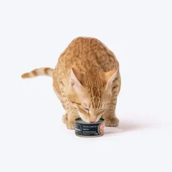 Meowsi Tuna & Chicken in Broth Wet Cat Food Can 80g