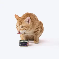 Meowsi Tuna & Chicken Mousse Canned Wet Cat Food 80g