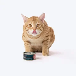Meowsi Tuna & Shrimp Mousse Canned Wet Cat Food 80g