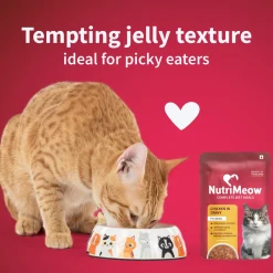 NutriMeow Adult Cat Food Trial Pack of 2 (80 gm each)