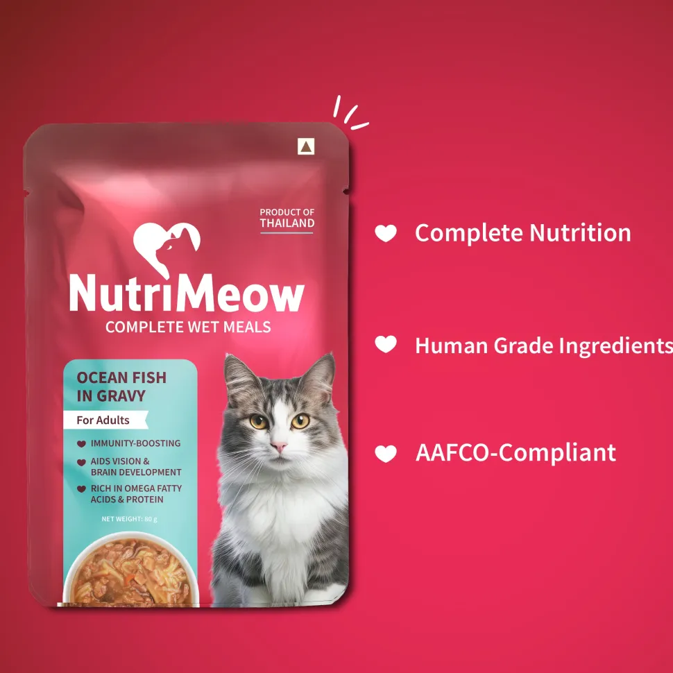 NutriMeow Adult Cat Food Trial Pack of 4 (80 gm each)