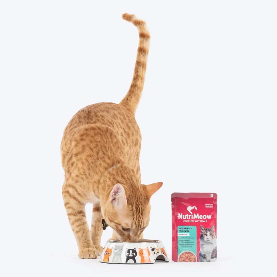 NutriMeow Adult Cat Food Trial Pack of 4 (80 gm each)