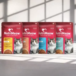NutriMeow Adult Cat Food Trial Pack of 4 (80 gm each)