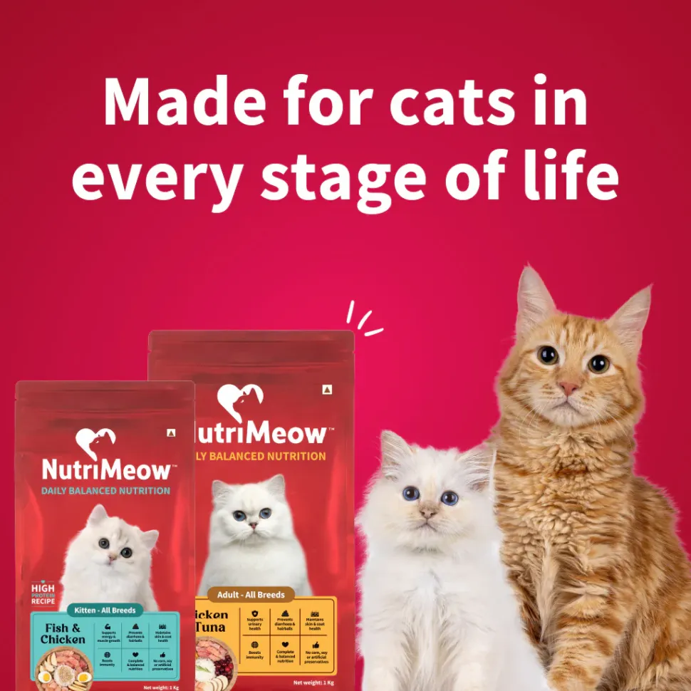 Nutrimeow Chicken & Fish Dry Food For Kitten