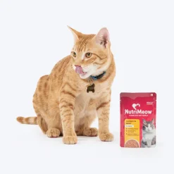 NutriMeow Chicken In Gravy Wet Food For Adult Cat - 80 gm