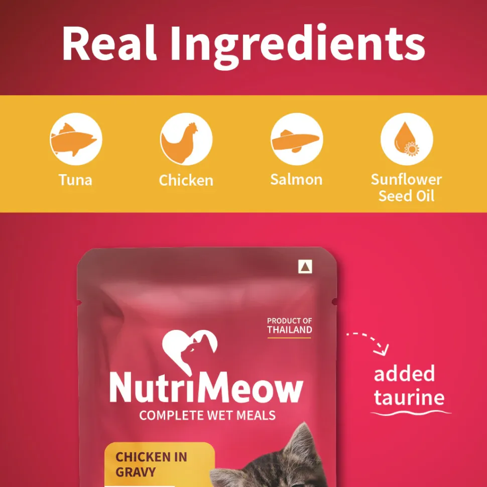 NutriMeow Chicken in Gravy Wet Food For Kitten - 80 gm
