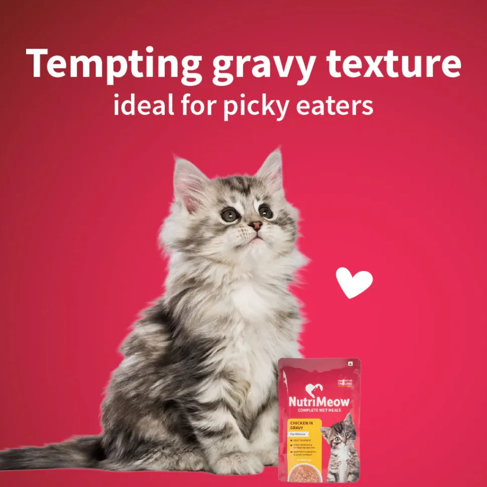 NutriMeow Chicken in Gravy Wet Food For Kitten - 80 gm