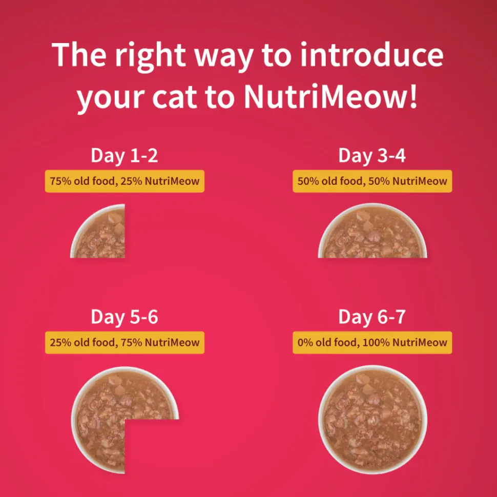 NutriMeow Chicken in Gravy Wet Food For Kitten - 80 gm