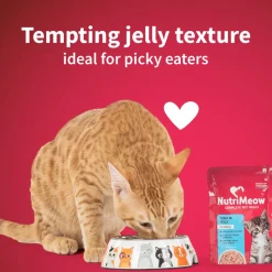 NutriMeow Kitten Food Trial Pack of 2 (80 gm each)