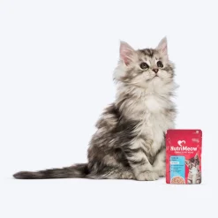 NutriMeow Kitten Food Trial Pack of 2 (80 gm each)