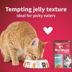 NutriMeow Oceanfish In Gravy Wet Food For Adult Cat - 80 gm