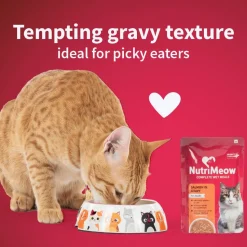 NutriMeow Salmon In Gravy Wet Food For Adult Cat - 80 gm