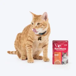 NutriMeow Salmon In Gravy Wet Food For Adult Cat - 80 gm