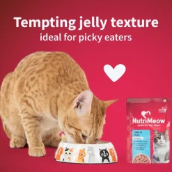 NutriMeow Tuna In Jelly Wet Food For Adult Cat - 80 gm
