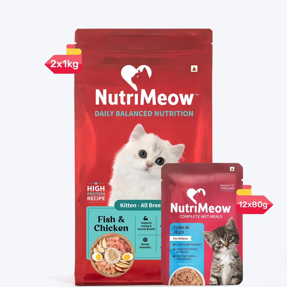 NutriMeow Tuna In Jelly Wet Food For Kitten - 80 gm
