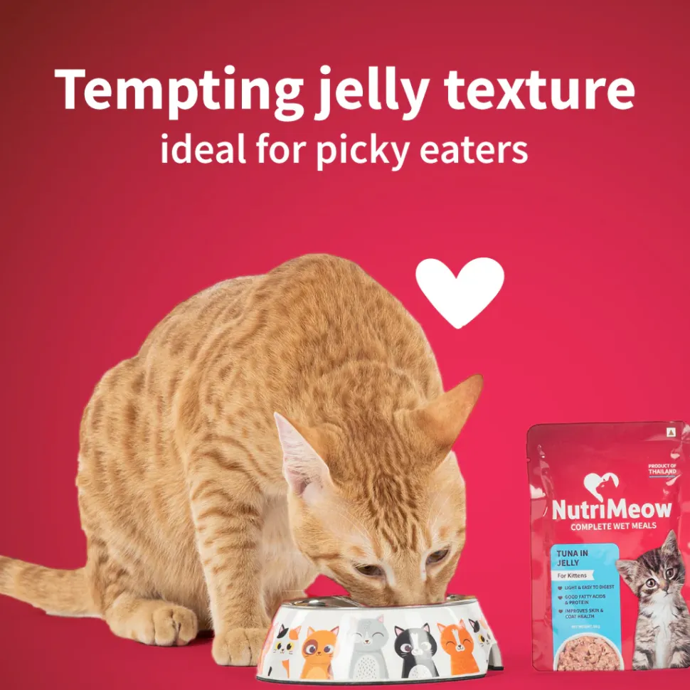 NutriMeow Tuna In Jelly Wet Food For Kitten - 80 gm