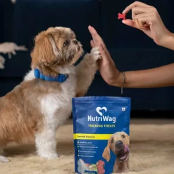 NutriWag Assorted Training Bites Treats For Dog - 200 gm