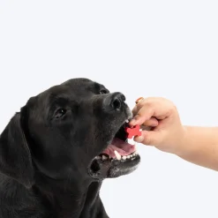 NutriWag Assorted Training Bites Treats For Dog - 200 gm