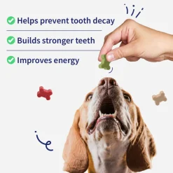 NutriWag Assorted Training Bites Treats For Dog - 200 gm