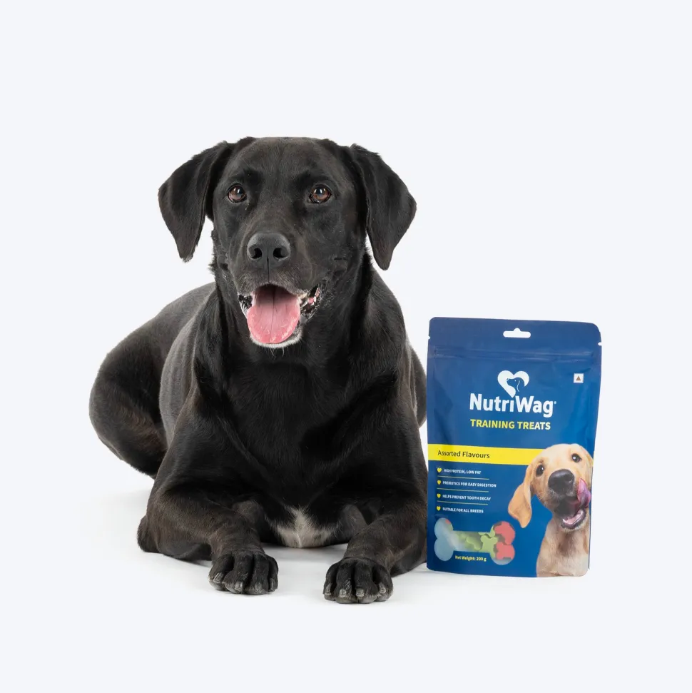 NutriWag Assorted Training Bites Treats For Dog - 200 gm
